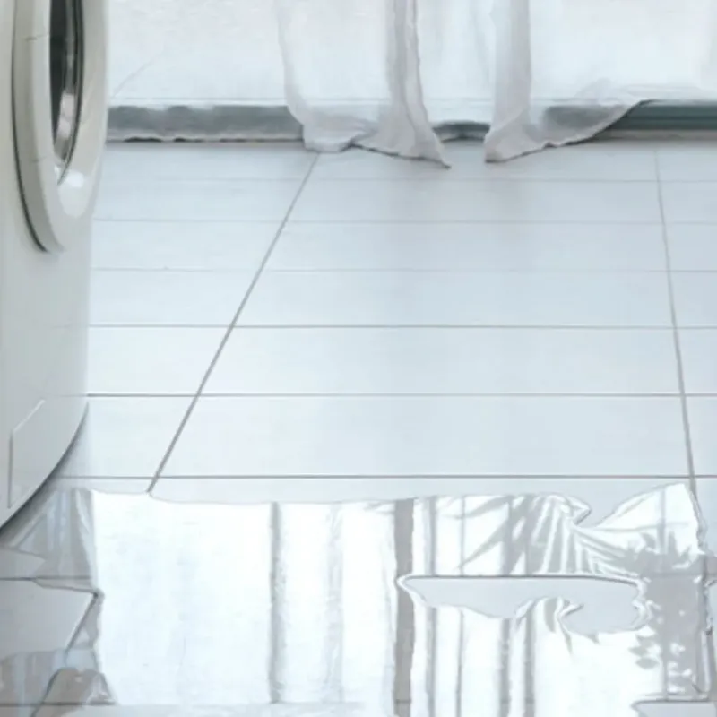 Appliance Leak Cleanup in Liberty, SC