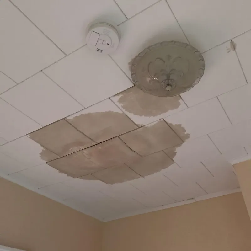 Ceiling Water Damage Repair in Liberty, SC