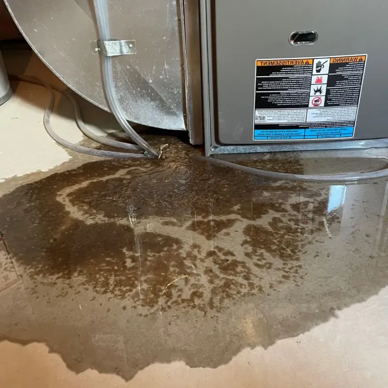 Pipe Burst and Leak Restoration in Liberty, SC