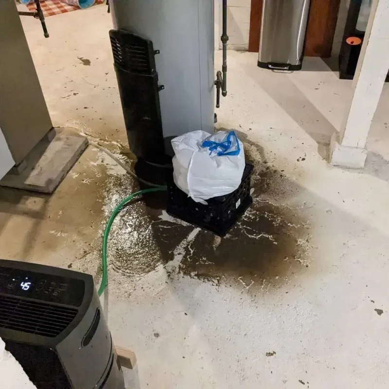 Sewage Backup Cleanup Service in Liberty, SC